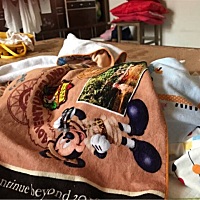 室外温度27度，台风天气，家里没开空调，风扇对着墙吹，一个月宝宝，围了肚围， 外面穿的长袖，没穿裤子...