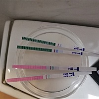 干的是早上分别测得早早孕（白板）和排卵试纸（弱弱弱阳），是的刚刚6.55分测的，早早孕仍然是白板，排...
