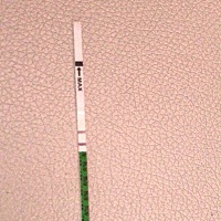 这个是不是怀上了