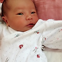 小家伙一天比一天好玩了