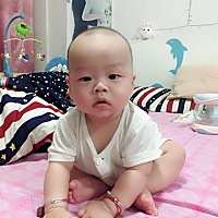 天天嘴巴发出 啊不啊不啊不 的声音 也不知道哪里学来的 已经不要躺在床上了 动不动就要翻过去趴着 趴累...