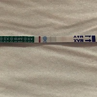 这是有了吗？这是有了吗？求宝妈帮忙看看谢谢了！