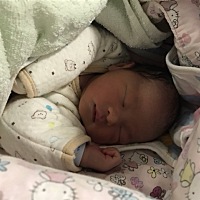 一直想生个女儿，结果又生下一个儿子，谁未来的老公，现在求带走