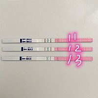 7月25号的姨妈，排卵期11.12测到强阳，13号转弱了。之后就出现乳房胀痛，小腹有痛感，尿频 但量不多。刚...