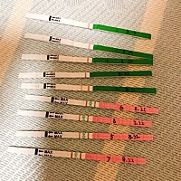 亲们，能帮我看看排卵试纸，什么时间同房合适？受孕率高 ？