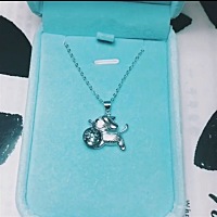 将宝宝人生中的第一缕毛发，永久的保存下来，是给自己给宝宝最好的纪念。可用胎毛做项链手链戒指等饰品...