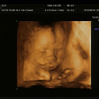 小家伙心情不好呀，