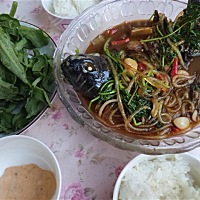 胃口不好 但是必须吃 就是吃 使劲吃