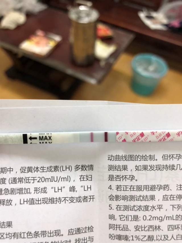 半定量大卫试纸