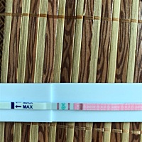 图一是上午用大卫普通试纸测的 图二是用大卫半定量试纸测的 右转弱么 普通大卫试纸 半定量大卫试纸