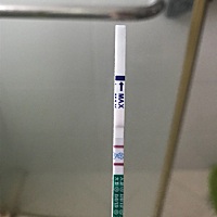 7月20号末次，今天早上测的，因为第一胎孕酮低，打了70-80针保胎、孕吐也厉害，随便动一下就见红，只能...