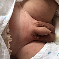 请问这个起的是什么