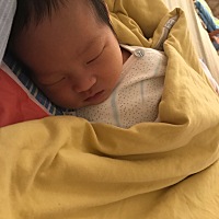 小家伙白天睡，晚上来吵