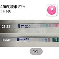 第一个排卵试纸昨天晚上测的，第二个是早早试纸今天早上的，几两天乳头也有点疼，今天本该是来大姨妈的...