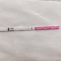 我7月30日来的yj，8月4日走的，sha前面这跟是按上显示的13日排卵日晚上8点半左右测的金秀儿试纸，今天晚...