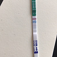 末次月经7月24，在8月10号用排卵试纸检测到排卵也安排功课了，前几天用早孕试纸测到白板，后来就坐等月...