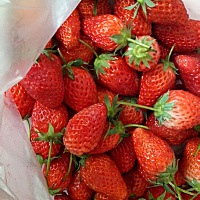 60天了第一个月的时候吃什么都香没感觉到难受，后来测出来怀孕了45天，开始天天吐什么味道都闻不了，每...