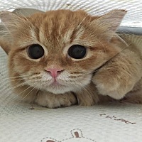 昨天体温37度 今天37.2度 差不多应该怀了吧 希望明天姨妈不要来🙏