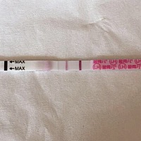 今天第17天。 检测排卵。卵泡1.7乘以1.5正常吗。 月经周期一般31天左右。测了金秀儿的排卵试纸，一道深...