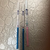 8月1号月经，14号排卵，之后各种不舒服， 胸胀小肚子刺痛 屁多。测了排卵跟早孕都是大白板 哎看样子是过...