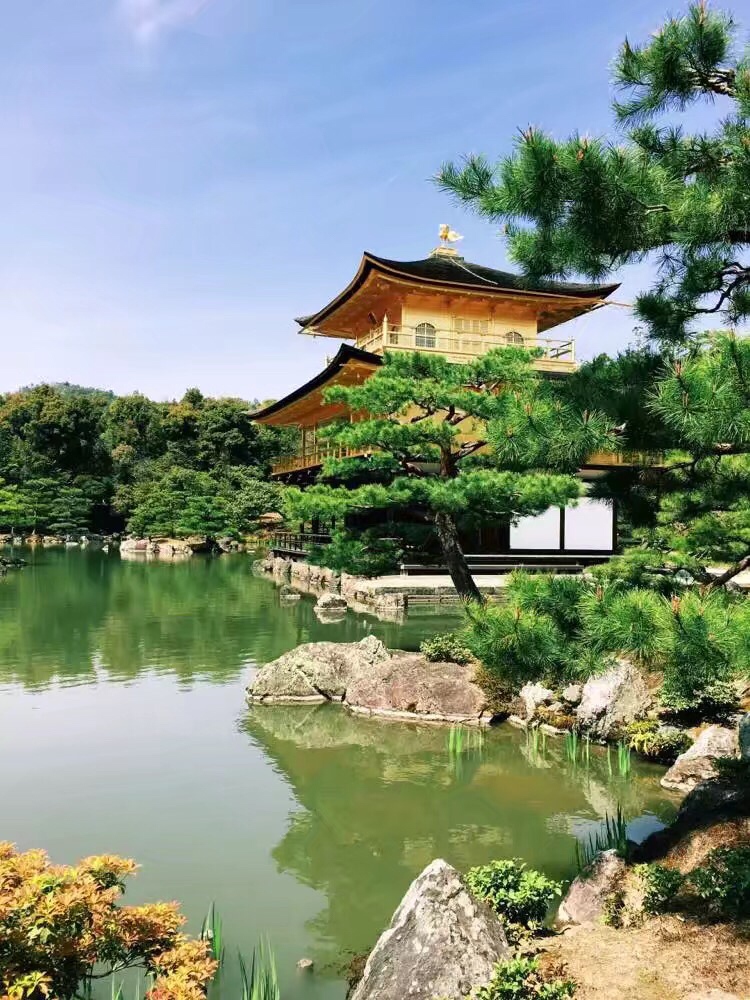 京都金阁寺，一休哥大家记得吗？