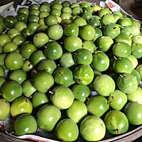 有宝妈孕期特别喜欢吃黄金百香果的吗？