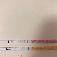 8.17号打的绒促，这次促排的，第一次，今天测了排卵试纸弱阳，早早孕试纸很淡的印几乎看不见，我这是绒...