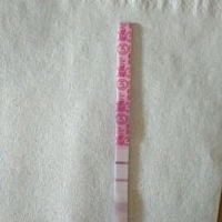 这是这两天的金秀儿排卵试纸，zzy还没测，有戏吗？