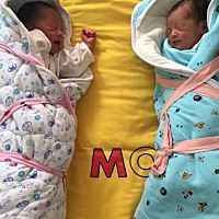 13天龙凤胎，一个哭另一个也吵醒跟着哭，哈哈喜大于悲，希望两个健健康康