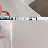 这是有印没，大家看看