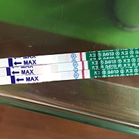 8🈷️2号来的月经……这两天感觉胸涨，小腹微痛，验了下，两条两杠，一条一杠……好就纠结呀，是不是...