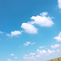 羡慕别的姐妹们都怀孕了，看到别人发的朋友圈孩子都特别可爱，生怕自己不能成为真正的女人。