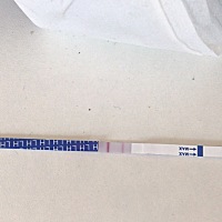 大家帮我看一下什么情况、末次8月7号来的月经，11号走的！ 这个月16 20 23都有同房，一直没用过排卵试纸...