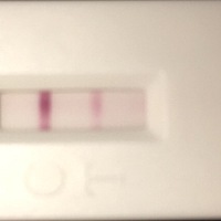 上个月30号末次月经，今天还没有来，临睡前用试纸测了一下，也不知道准不准，打算明天去医院验个血看看...