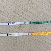 有没有排卵后第十天测出来试纸一深一浅的，大卫的还不是很明显，这是怀了吗？还有三天到姨妈日