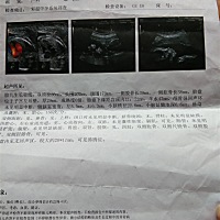 不知是男是女，挺好奇的