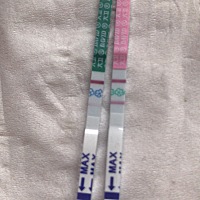 请问我排卵和验孕试纸用一杯尿同时检测的，早孕试纸很淡的颜色，后来单独测试白板，排卵试纸和早孕一起...