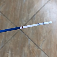 是怀孕了吗？不敢相信。