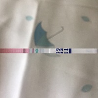 大家帮我看下，25号排卵日，今天测排卵试纸是这样的，怀上的几率大吗？