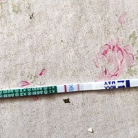 亲们，这是不是怀孕了，我接下来该做什么，第一次备孕不懂接下来要干嘛