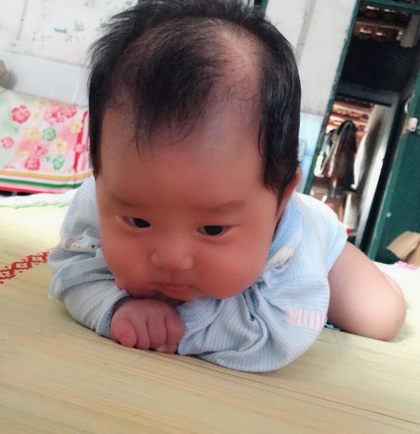 两个月的时候就可以抬头了