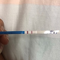 意念成灰啊，备孕快一年了，终于怀上了，7.27号的姨妈，延迟了一个礼拜，一直不敢测，怕又是大白板，不...