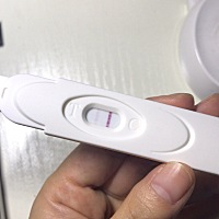 这是怀孕了吗？