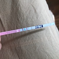 排卵试纸测的这个是不是强阳？排卵日应该是明天或者后天，什么时候安排同房合适？