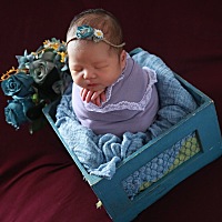 爸爸的小情人，健康茁壮的成长.