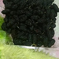 早上起来头疼的要死，就像抖音上面的哎呀妈呀脑瓜疼😂，头疼了一会，肚子又开始疼，喝了点热水去厕所...