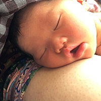 宝宝7.21日出生的   顺产出了医院  没两天就因为黄疸太高住院了  治疗了五天照蓝光才接回来   因为夏天 ...