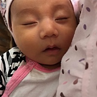 万能的朋友圈有谁知道吃什么奶水多啊😭