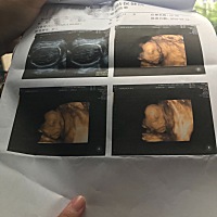会看男女的有么