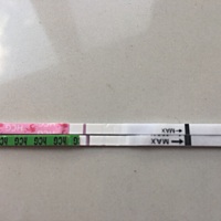 排卵第十二天，排卵试纸弱阳，zzy连续四天都是意念灰，没有加深。腹部阵痛，强烈的姨妈感.估计是没戏了...